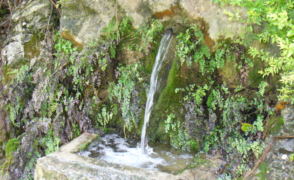 Conocer el Don de Dios y experimentar el agua viva  que salta para vida eterna (Juan 4)